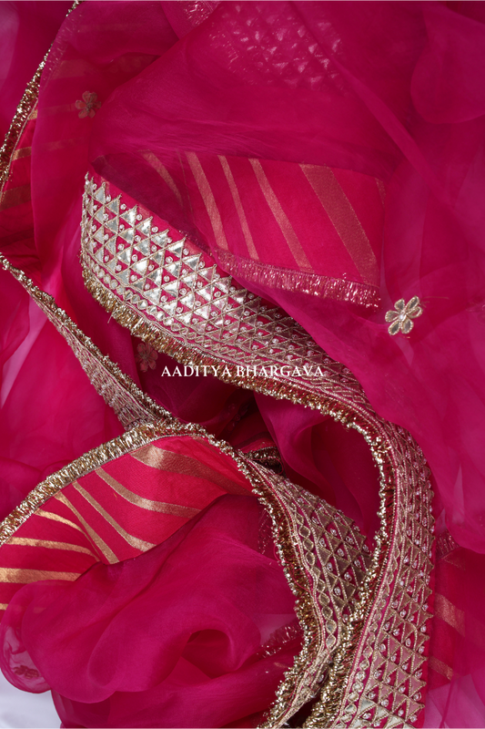 Rani Pink Silk Organza Saree - Elegant  Wear | Aaditya Bhargava